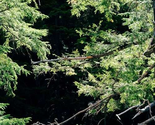 The Differences Between Help Desk and Network Operations Center (NOC) 10 Network Infrastructure - The Differences Between Help Desk and Network Operations Center (NOC)