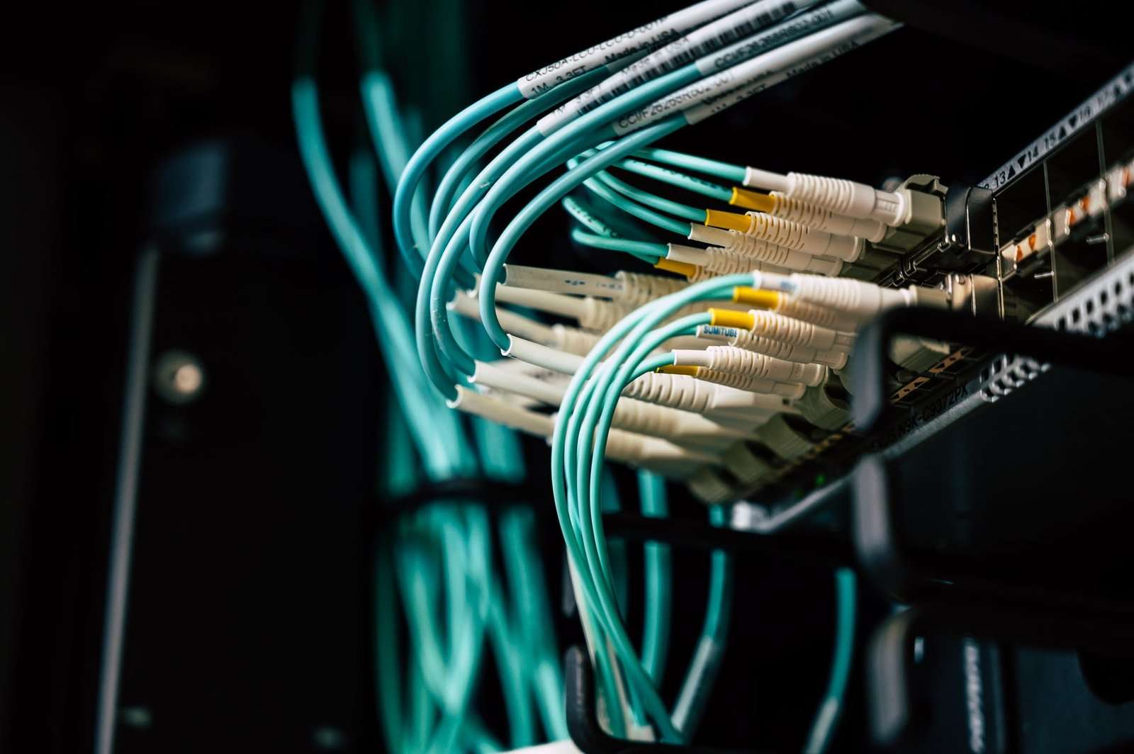 Network Security Threats and Vulnerabilities: What SMB Leaders Need to Know 8 Network cables and switches in a server rack, representing SMB network security