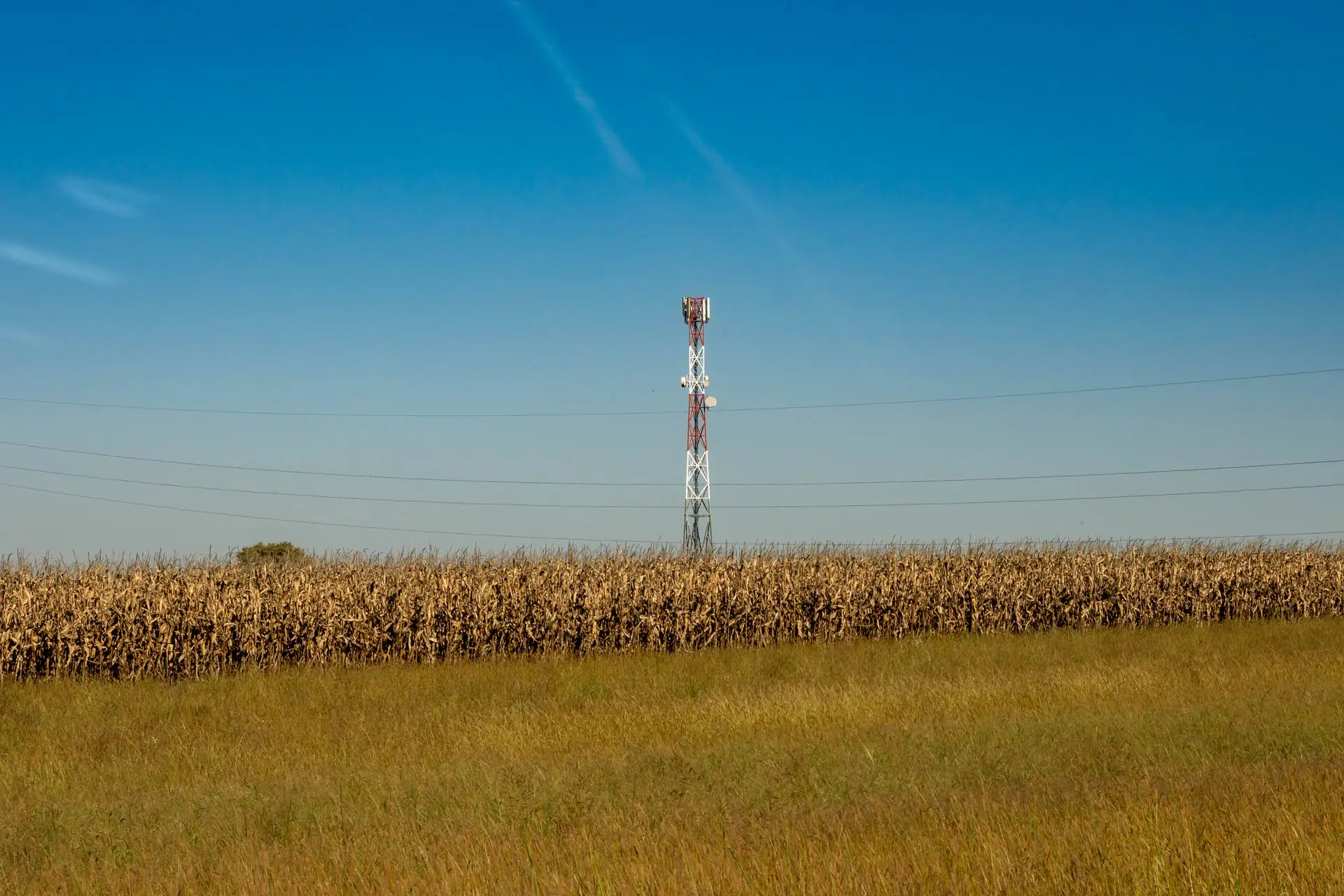 A Turning Point for the Digital Divide: Cytranet CTO Doug Roberts on Why Reliable Internet Is Finally Within Everyone’s Reach