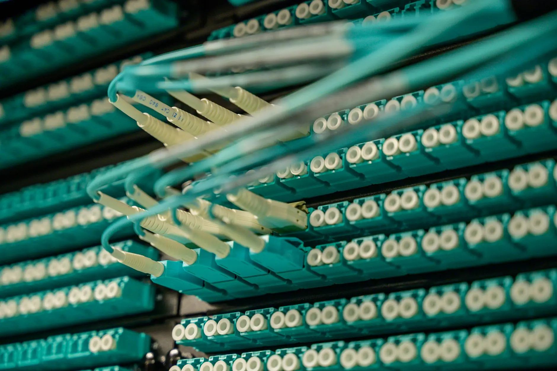 Fiber optic cables connected to network server equipment representing high-capacity, low-latency business and government connectivity