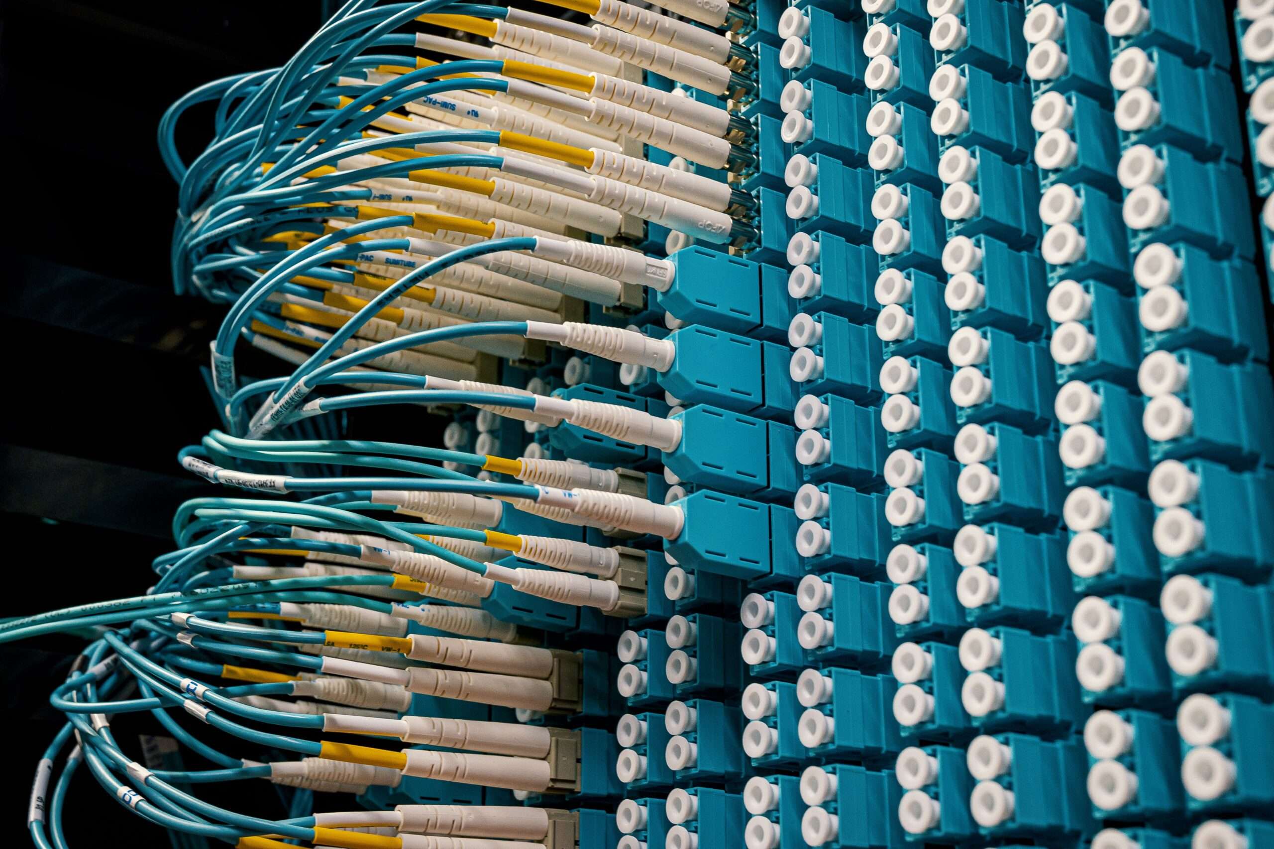 Close-up of fiber optic patch cables connected to a network patch panel in a data center