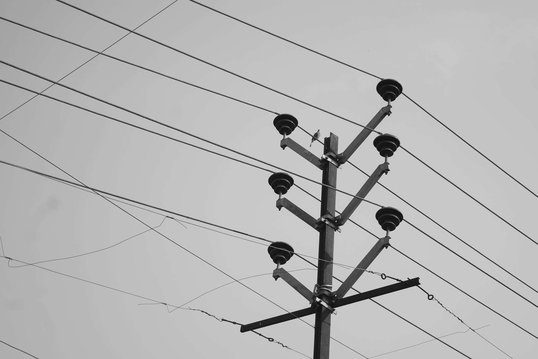 What Is a POTS Line, and How Is It Different From VoIP? 11 Overhead telephone and utility wires representing traditional POTS lines