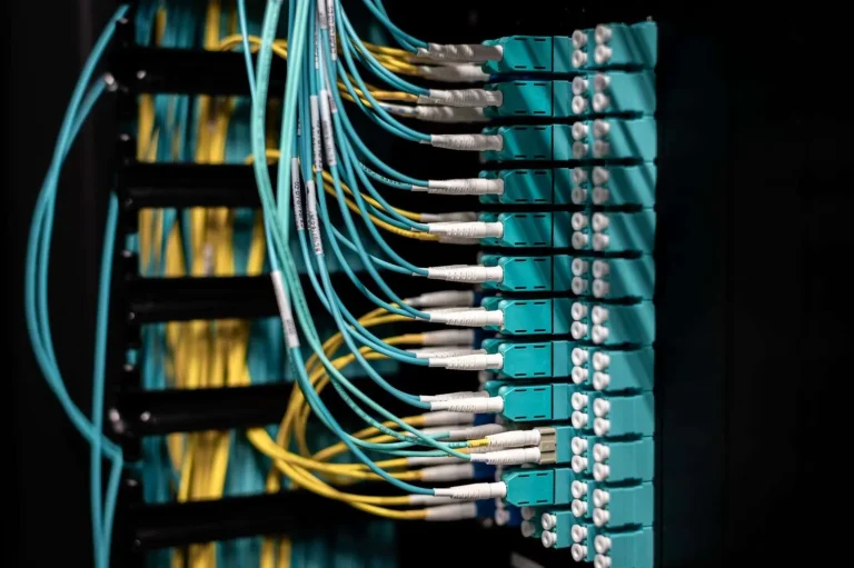 Neatly labeled ethernet patch panel and bundled network cables in an office telecommunications room prepared for a Wi-Fi upgrade